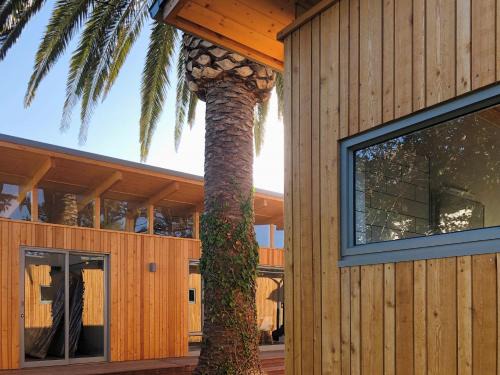 Milnerton Apartamento | Palm and Pine Cottage