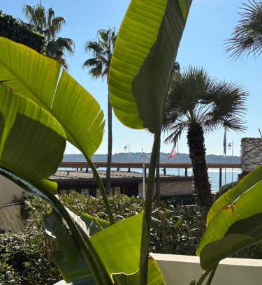 Pointe Croisette Apartamento | Palm Beach front de mer