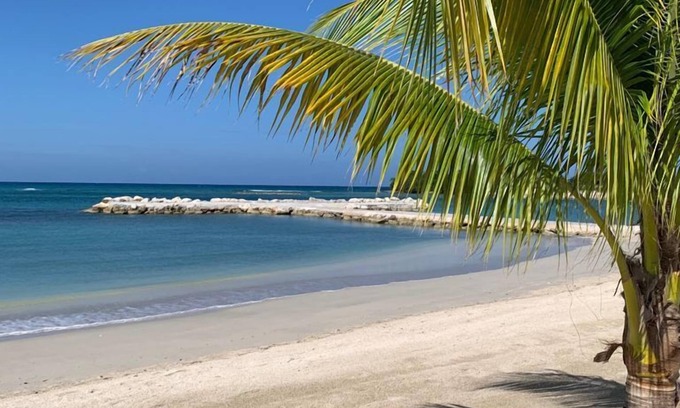 St. Ann's Bay Casa | Palm BlossomJA Beach