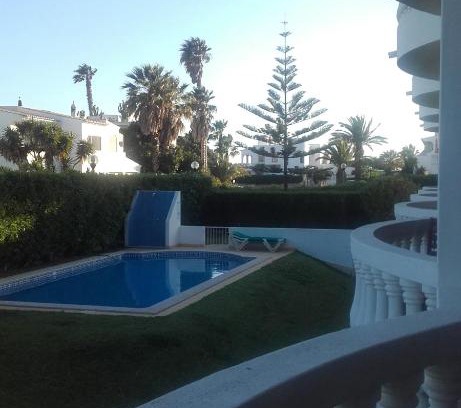 Luz Apartamento | Palm Trees