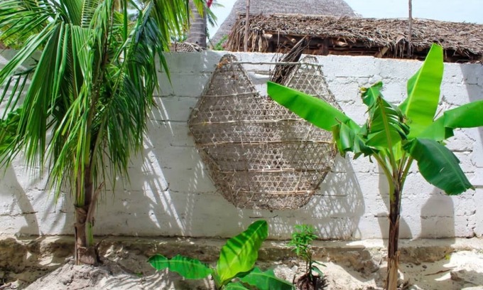 Jambiani Cama Y Desayuno | Pamoja Beach Stays