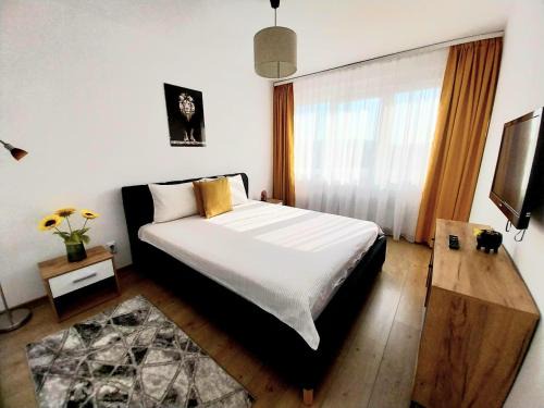Tirgu Mures Apartamento | Panoramic City View Apartment