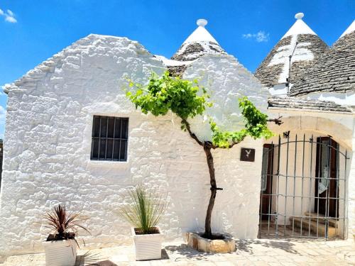 The Trulli of Alberobello Casa | Panoramic Terrace