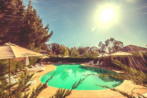 Algarrobo Cabina | Pao Pao Lodge Algarrobo