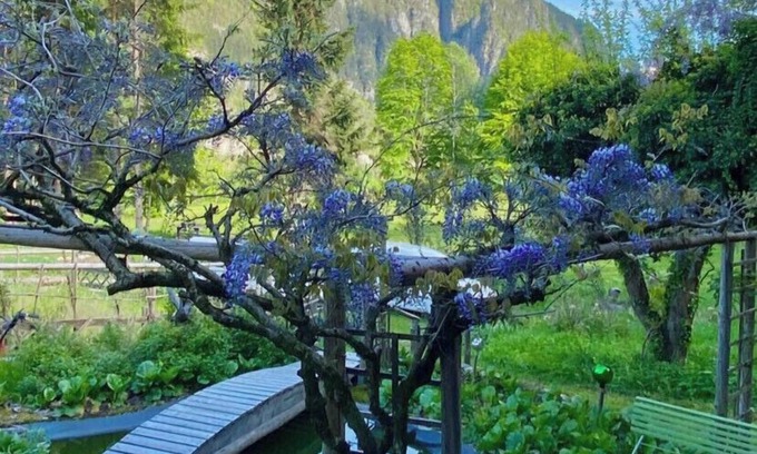 Canal San Bovo Apartamento | Casa de campo de Paola - Vanoi Primiero Dolomiti Trentino