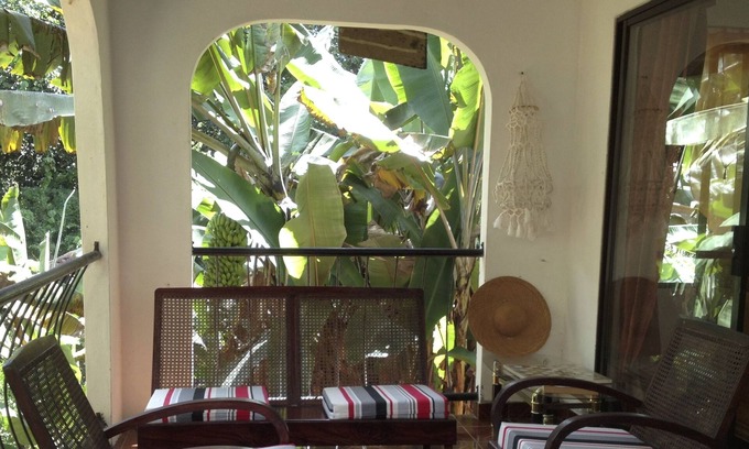 La Misere Casa | Papaya Guesthouse