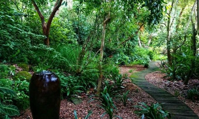 Kloof Cabaña | Paperbark Cottage, perfectamente situado en un hermoso jardín.
