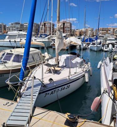 Torrevieja Alquiler De Eote | Papifrank