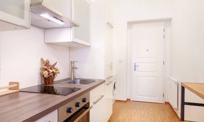 Zizkov Apartamento | Paradise Apartment