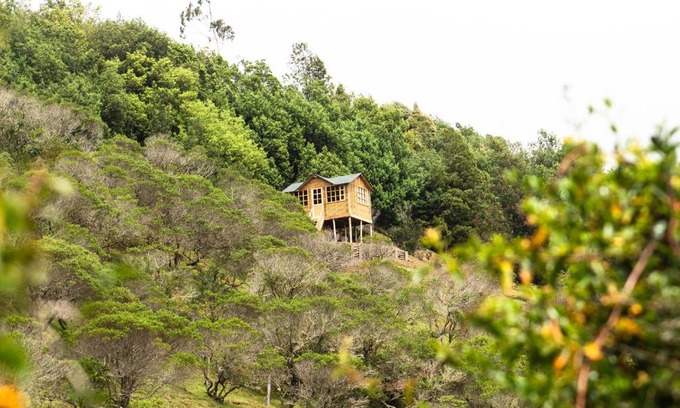 Choconta Otro | Paradise Glamping