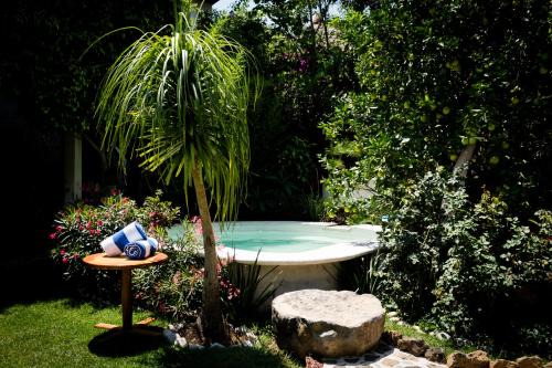 Malinalco Hotel | Paradise Hotel Boutique & Lounge