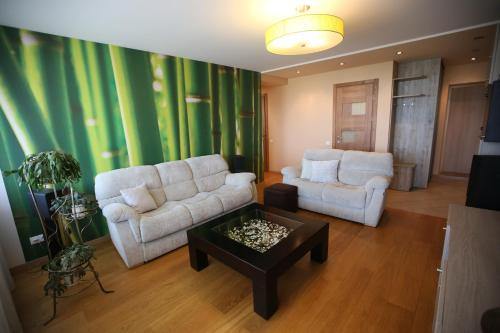 Kaunas Apartamento | Park View Apartment