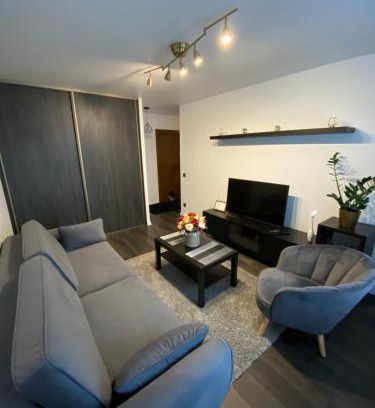 Panevezys Apartamento | Parko 443