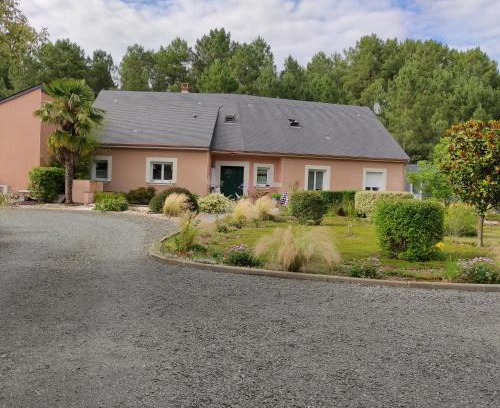 Chateau-l'Hermitage Casa | Pascal et Domi CHAMBRES "l'oasis des pins"
