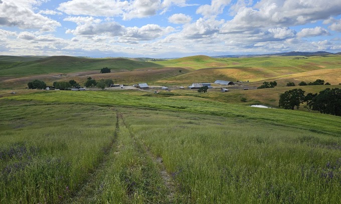 San Miguel Cabina | Paso Robles Ultimate Farm Stay! Country Oasis!! Very Unique!!!