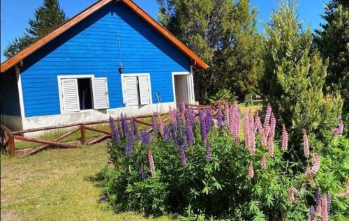 Trevelin Chalet De Esquí | Patagonian Cabin