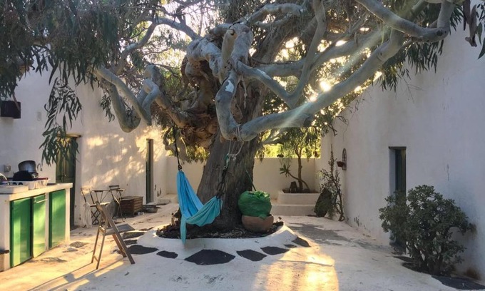La Asomada Apartamento | Patio I