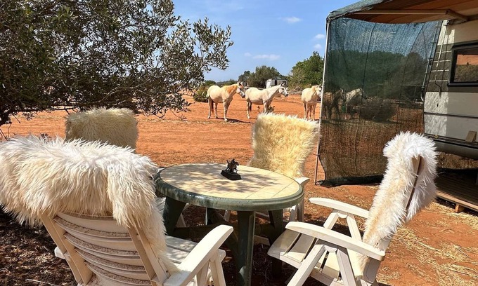 Lagos Casa | Caravana Pauls para 4 - Mira los caballos desde tu cama