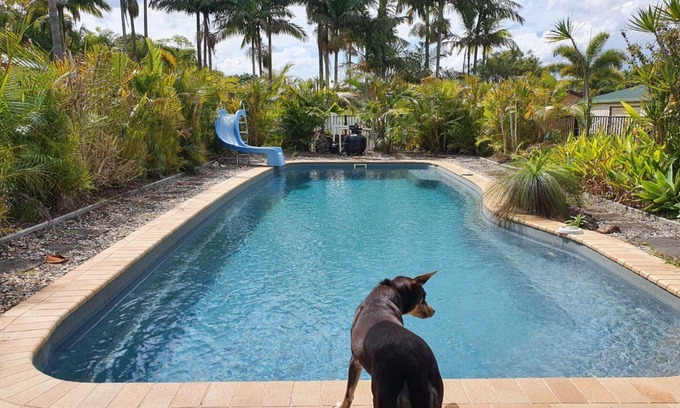 Ningi Casa | Peace and Tranquility by the pool