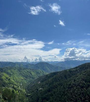 Chail Casa | Peace holiday homestay