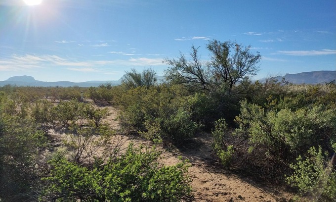 Alpine Alquiler De RV | Peace + Quiet, Views, Grill, Fire Pit, Shower, Wi-Fi, Pet-Friendly!