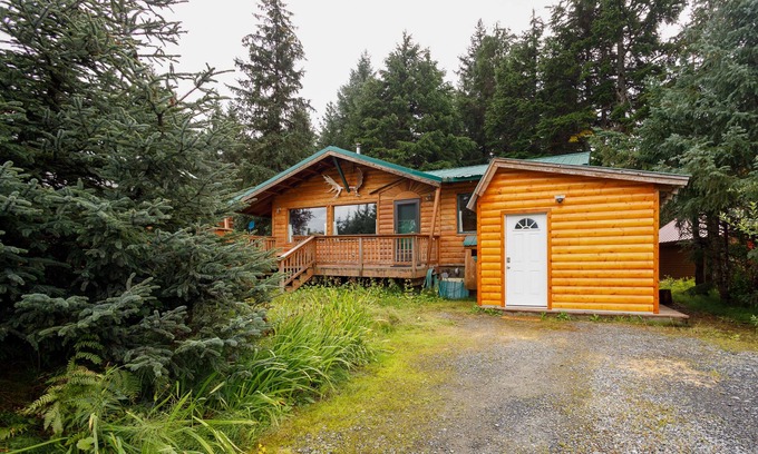 Alyeska Cabina | Peaceful dog-friendly cabin with hot tub, woodstove, W/D & WiFi - mountain views