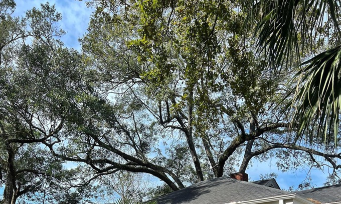 Georgetown Cabaña | Peaceful downtown cottage in Historic Georgetown.