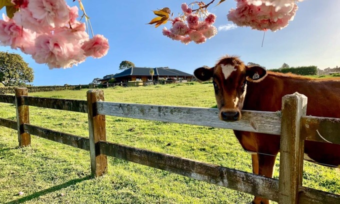 Bombay Otro | Amplia casa de campo cerca del aeropuerto de Auckland