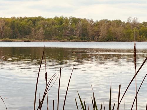 Deedsville Casa | Peaceful home right on the lake!