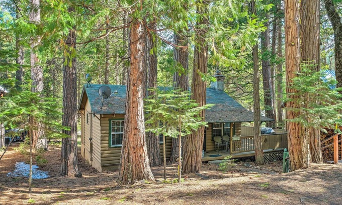 Long Barn Cabina | Peaceful 'Little Doll House' Cabin w/ Grill!