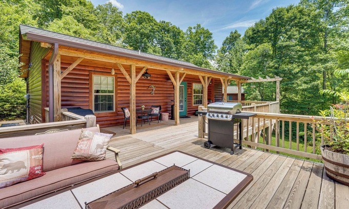 Murphy Cabina | Peaceful Murphy Cabin w/ Fire Pits & Forest Views!