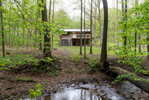 Naples Casa | Peaceful Naples Cabin with Deck and Stream Views