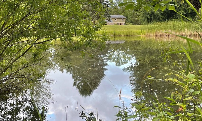 Wolcott Casa | Idyllic retreat with pond, just steps from Port Bay-rare Labor Day availability!