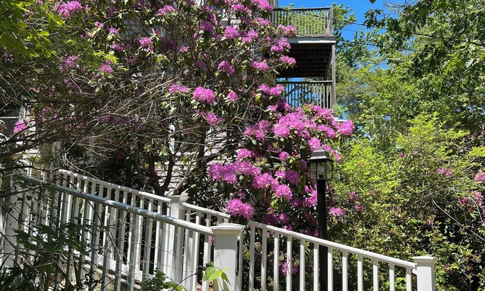 Cape Neddick Casa | Peaceful retreat among the trees only a five minute walk to Perkins Cove