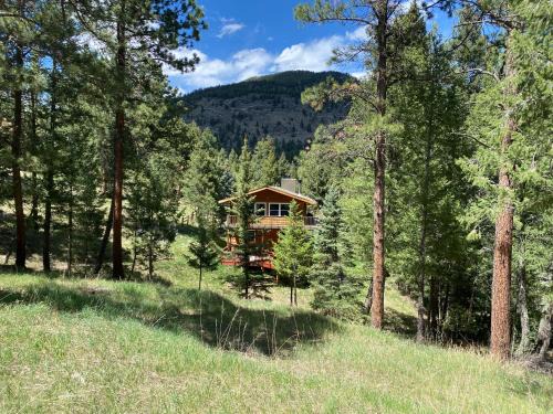 Evergreen Casa | Peaceful