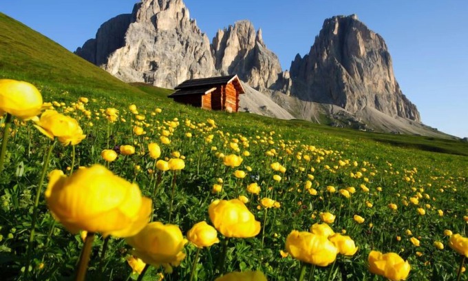 Soraga Apartamento | Apartamento Pederiva (SOF743) en Soraga di Fassa - 4 personas, 2 dormitorios