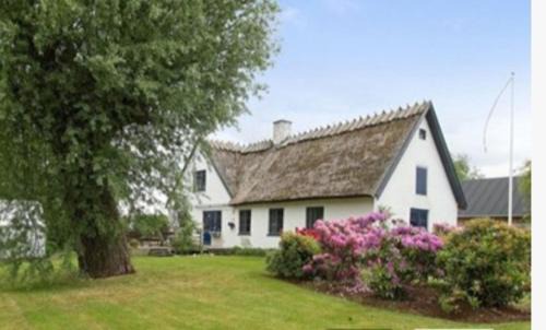 Hillerod Cama Y Desayuno | Pegasus Bed & Breakfast