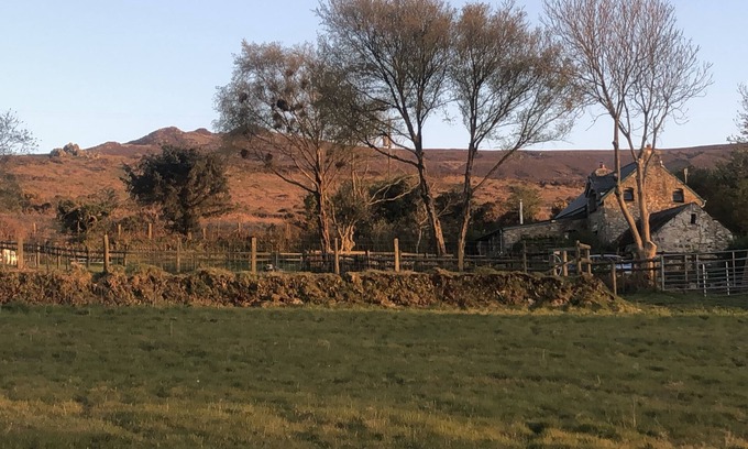 Newport Cabaña | PENFEIDR NEWYDD, pet friendly in Newport, Pembrokeshire