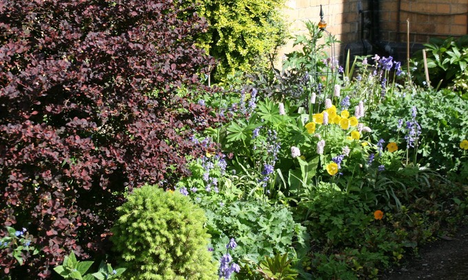 Rhayader Casa | Penralley House B&B