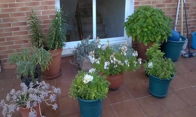 Miranda de Ebro Casa | Pensión Las Matillas
