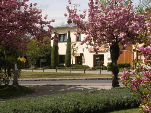 Lubben Casa | Pension "Am Schloß"
