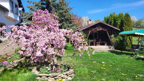 Gura Humorului Casa | Pension Anastasia