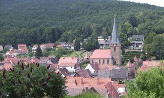Dorrenbach Apartamento | Pension/ferienwohnung Haus Kastanienwald - Appartement/fewo, Dusche, WC, Nichtraucher