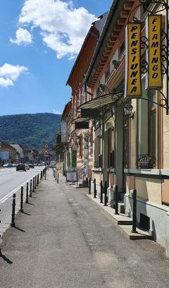 Centrul Vechi Casa | Pension Flamingo