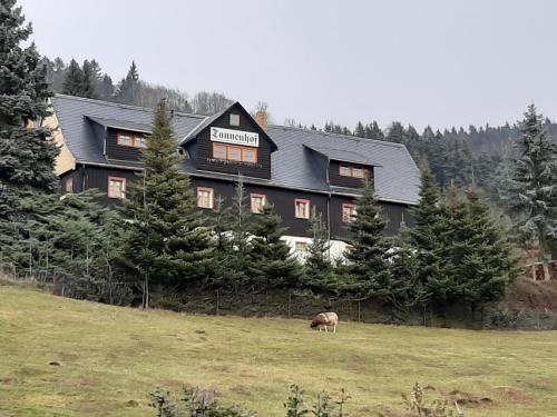 Saupsdorf Casa | Pension Gaststätte Tannenhof