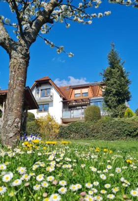 Bad Bocklet Apartamento | Pension Höchemer