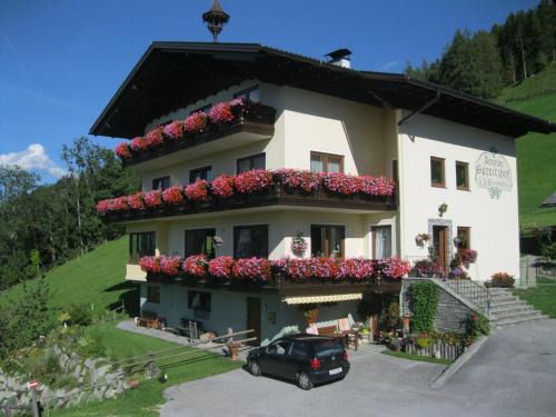 Schladming Casa | Pension Spreitzhof & Appartement Royer
