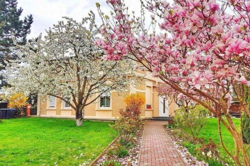Kothen Casa | PensionLien