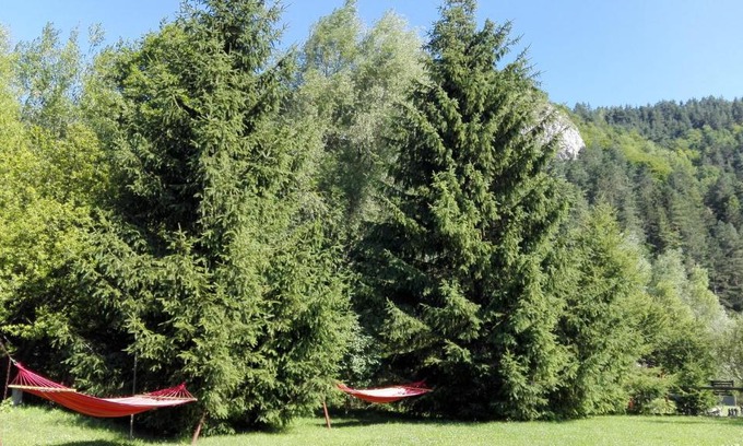 Bran Casa | Pensiunea Alpin