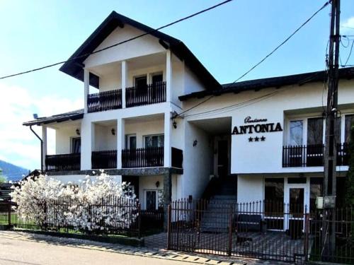 Vatra Dornei Casa | Pensiunea Antonia